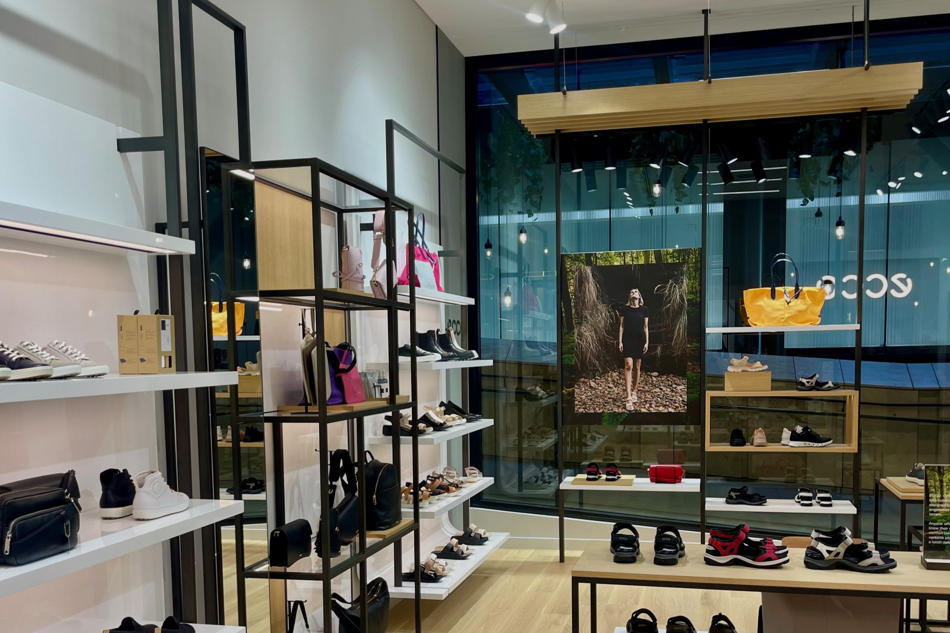 25.02.2025 Photo 1 ECCO LS